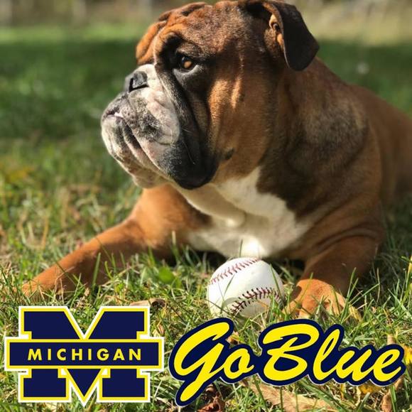 Meet your Posher, Darren - Picture 1 of 1